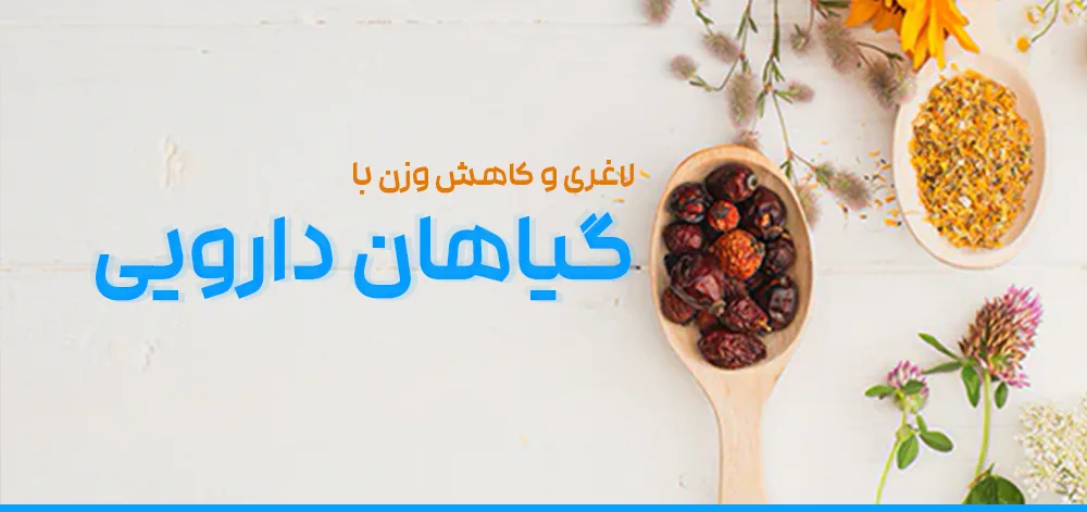 گیاهان دارویی لاغری کاهش وزن